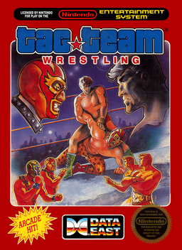 Tag Team Pro-Wrestling box art for Famicom